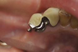 �R�����ȁb�Ǘ�18